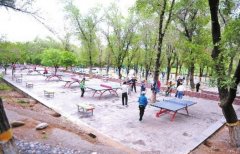 ��³ľ��������ɽ��԰�������׽�����ʩ