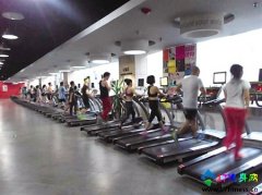 ���Խ���������Ϊ�� Ů�Բ������μ�֬