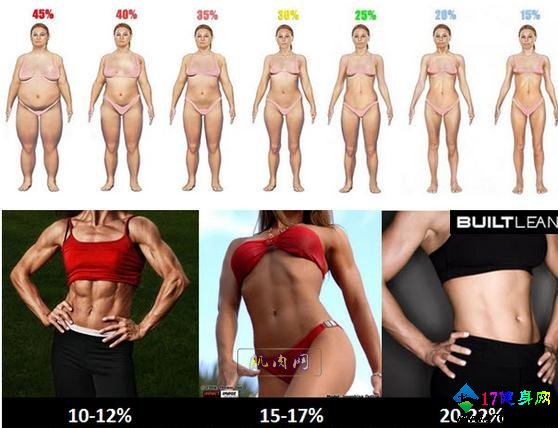 Ůʿ��֬�ʹ��㷶Χ