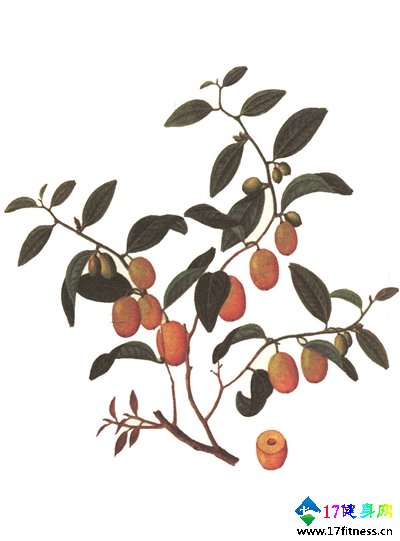 8�������ս�����Ч