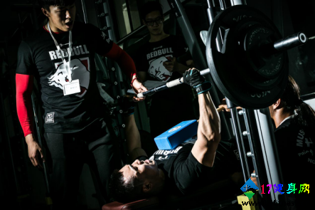 ��ţ����Ȧ