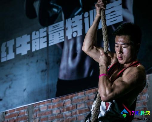 ��ţ�ſ�������ѵ��