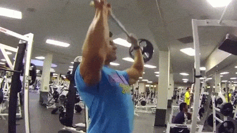 ���������б�֪��5�ָ��嶯��