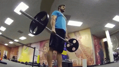 ���������б�֪��5�ָ��嶯��