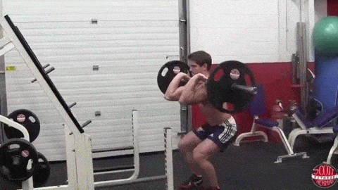 ���������б�֪��5�ָ��嶯��