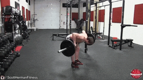 ���������б�֪��5�ָ��嶯��