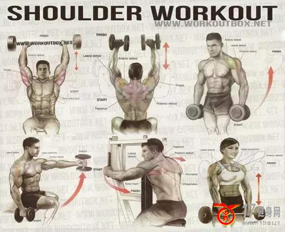 ����ʽ��������̳�