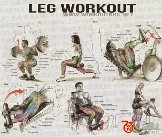 ����ʽ��������̳�