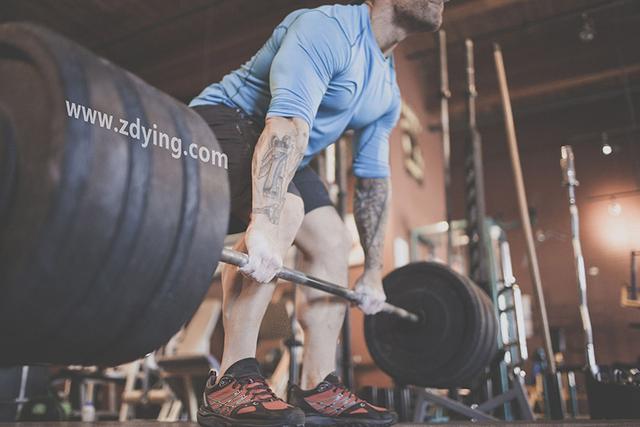 ���ֽ�����ѵ�����ֵ���������Щ��