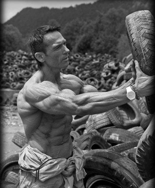 ��֬���͵�����Ѫ��������͹���·��ܸ��ܵ�ѪҺ��������