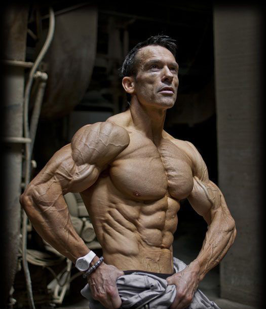 ��֬���͵�����Ѫ��������͹���·��ܸ��ܵ�ѪҺ��������