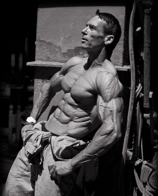 ��֬���͵�����Ѫ��������͹���·��ܸ��ܵ�ѪҺ��������