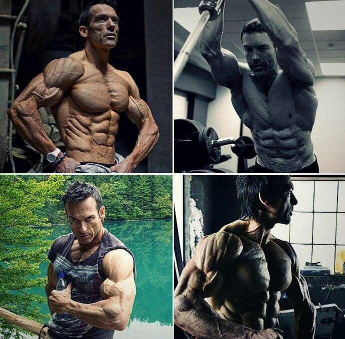 ��֬���͵�����Ѫ��������͹���·��ܸ��ܵ�ѪҺ��������