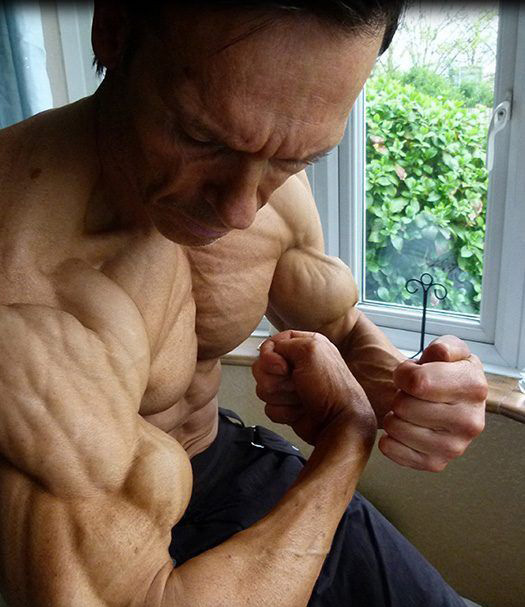 ��֬���͵�����Ѫ��������͹���·��ܸ��ܵ�ѪҺ��������