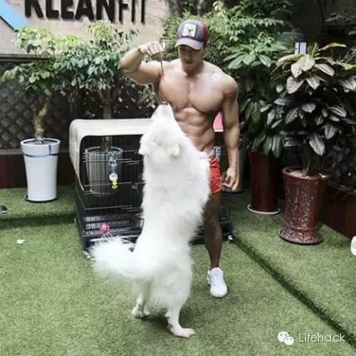 ������ǿ׳������ģ������������ѹŷ���ˣ�