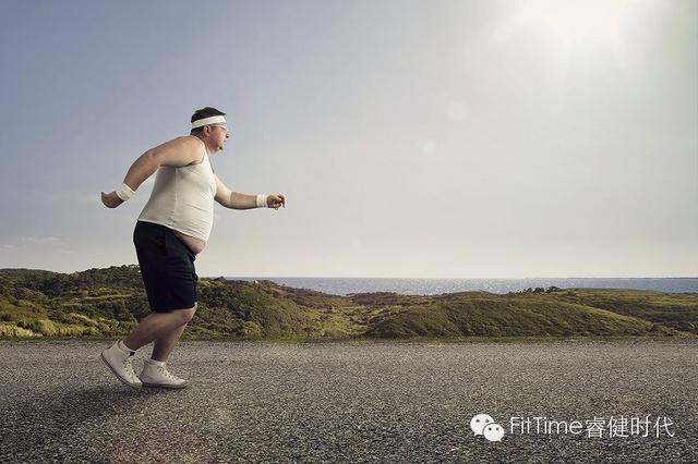 ��ͬ��֬�׶Σ��������ּ�֬��������Ч��