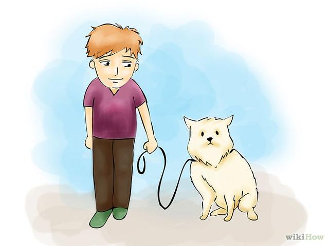 ��ο���ȼ��֬����